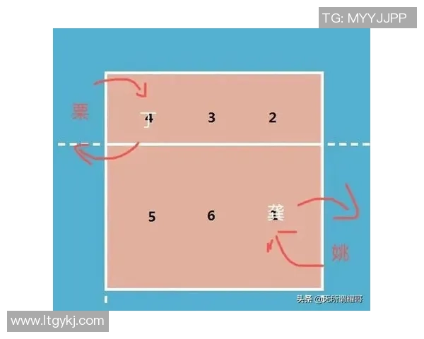 杭州排球队总决赛战术分析与表现评估全面解读